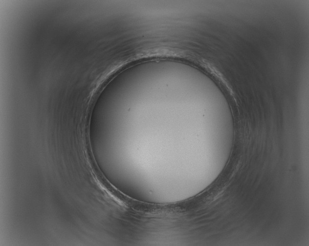 X0000067510625200604211751