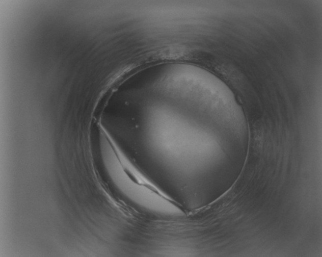 X0000067510626200604211752