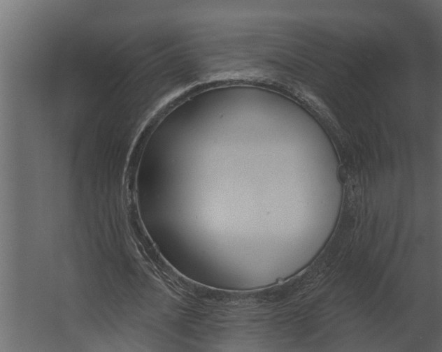 X0000067510628200604211752