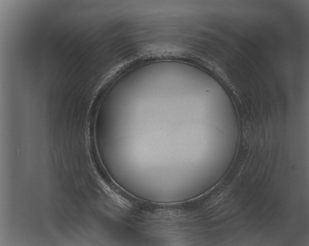 X0000067510629200604211752