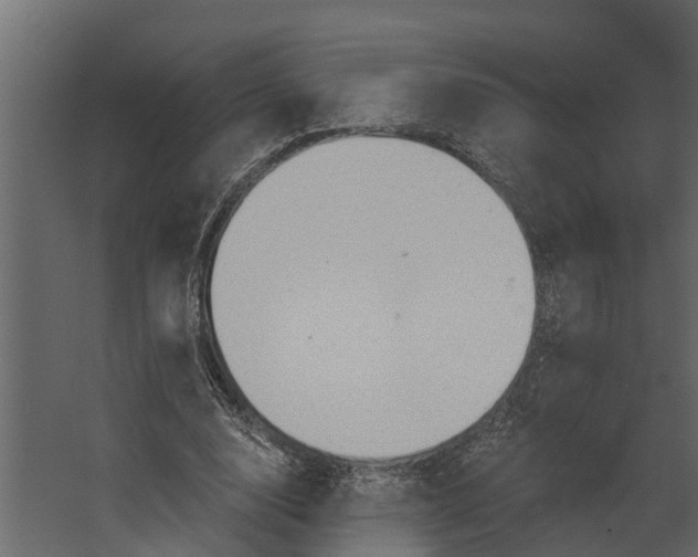 X0000067510632200604211752