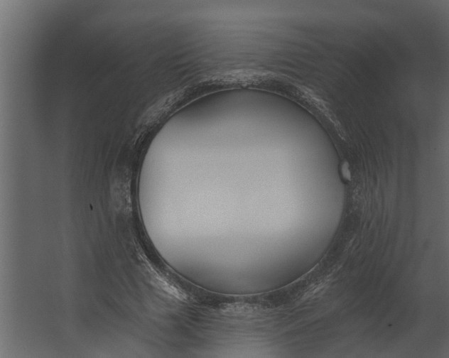 X0000067510633200604211752