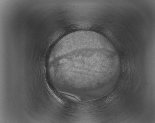 X0000067510634200604211752