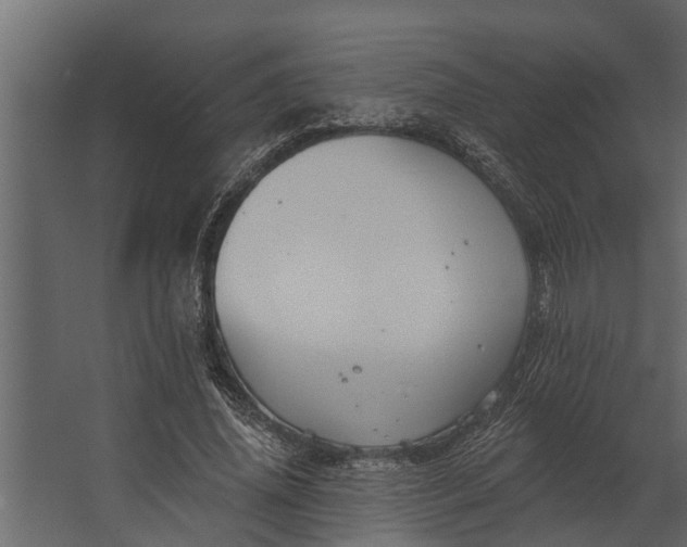 X0000067510636200604211752