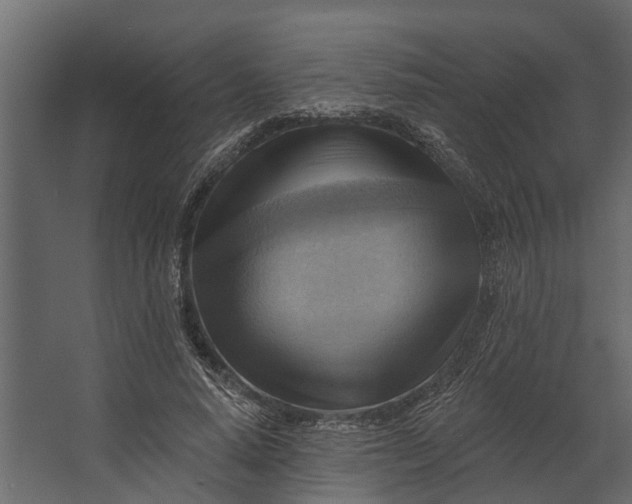 X0000067510640200604211752