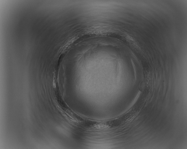 X0000067510644200604211752