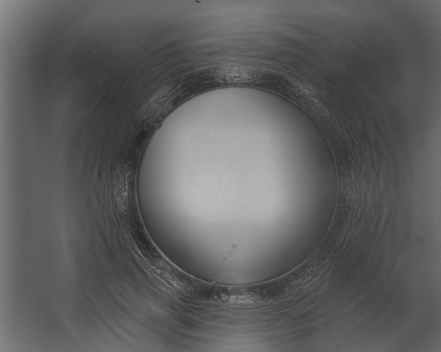 X0000067510645200604211752