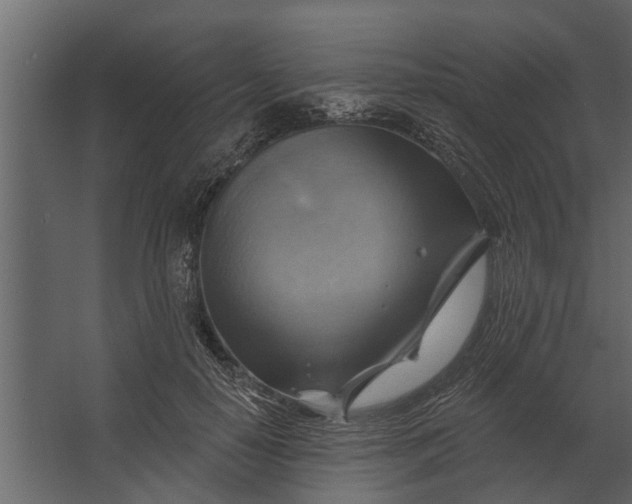 X0000067510650200604211752