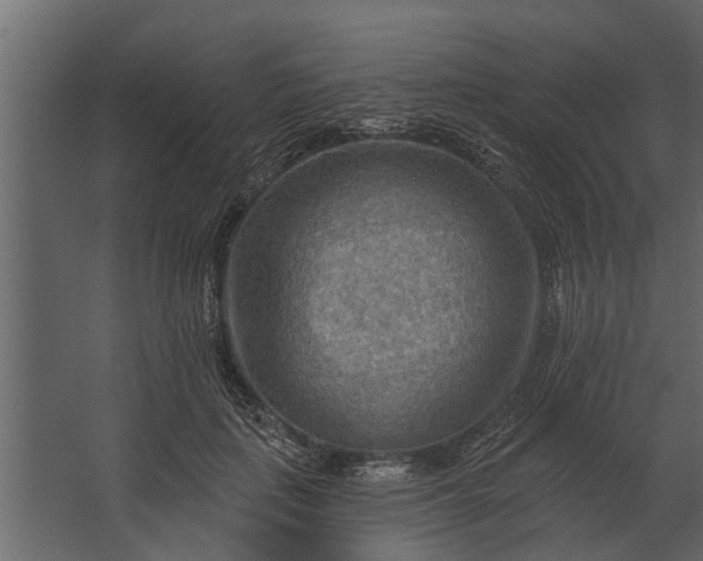 X0000067510651200604211752