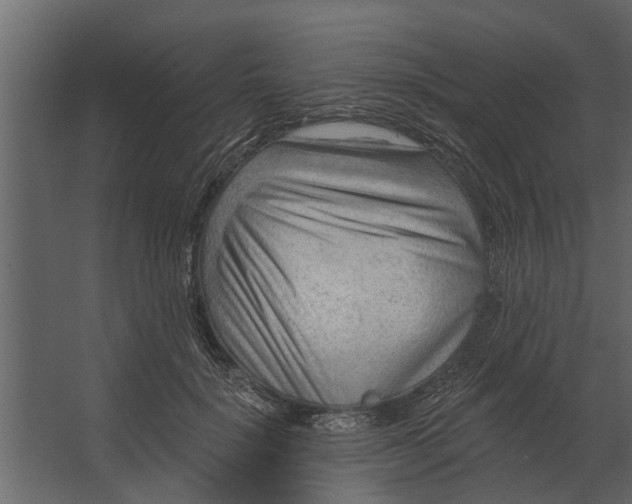 X0000067510652200604211752