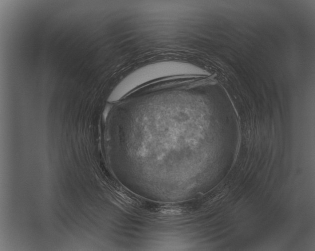 X0000067510653200604211752