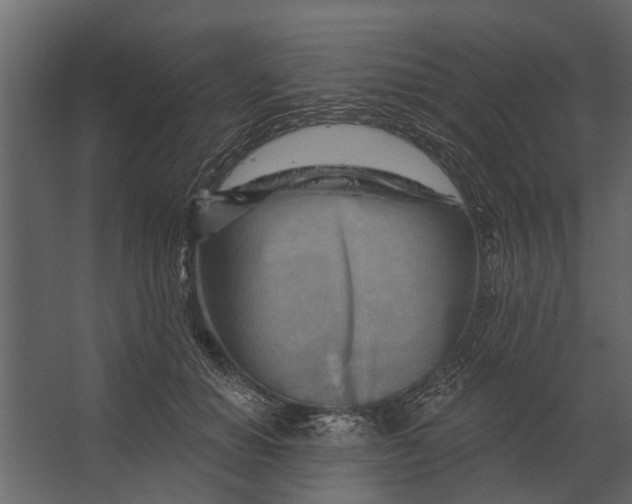 X0000067510654200604211752