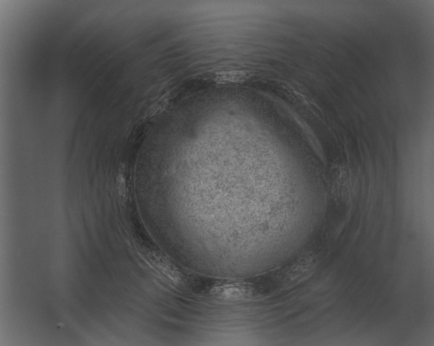 X0000067510655200604211752