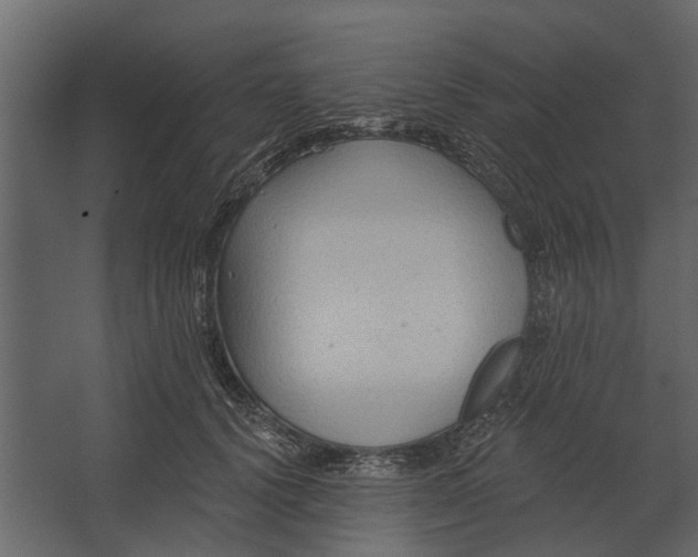 X0000067510656200604211752