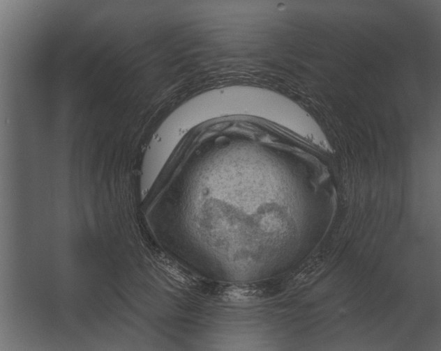 X0000067510657200604211752