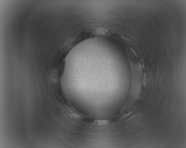 X0000067510665200604211752