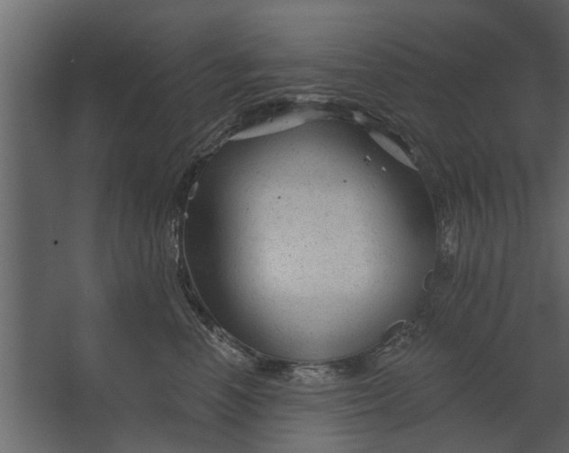 X0000067510666200604211752