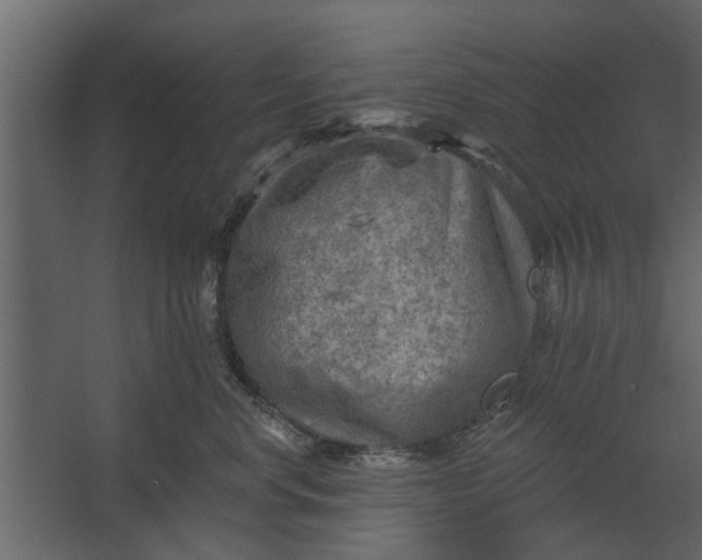 X0000067510668200604211752