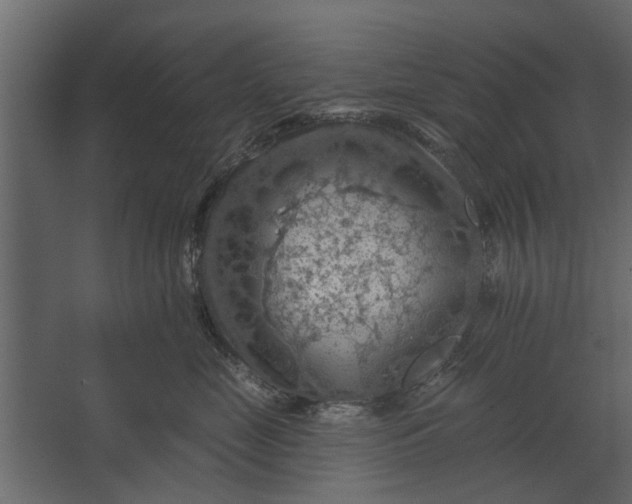 X0000067510669200604211752