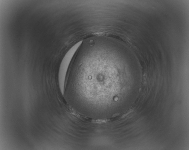 X0000067510671200604211752