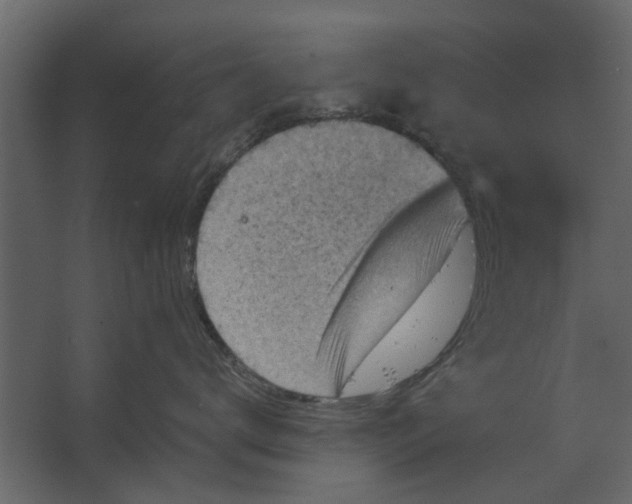 X0000067510672200604211752