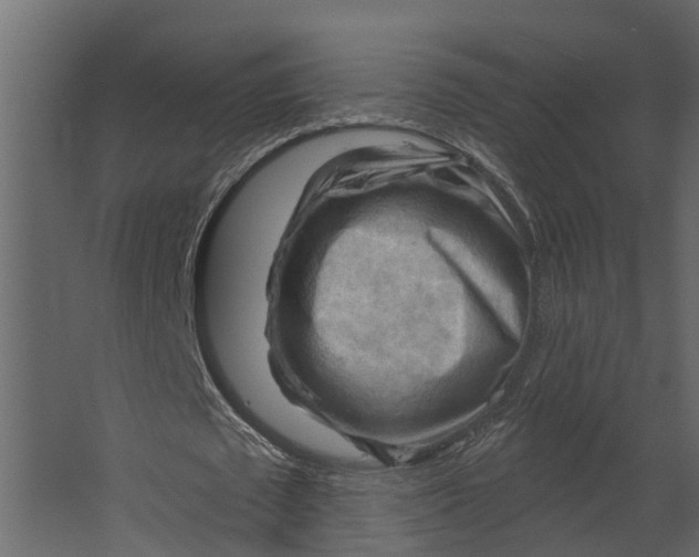 X0000067510673200604211751