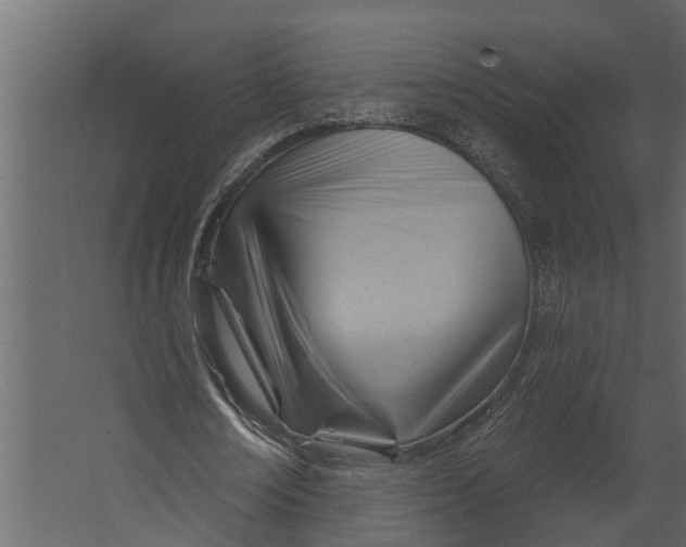 X0000067510674200604211751