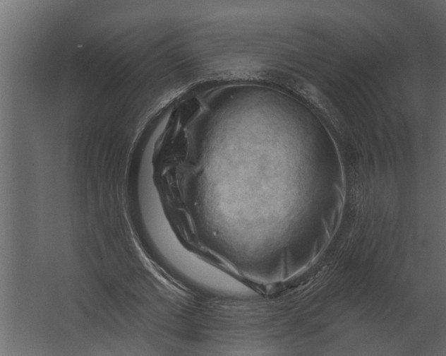 X0000067510677200604211751