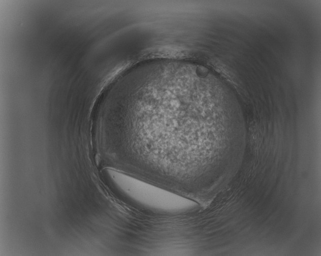 X0000067510679200604211751