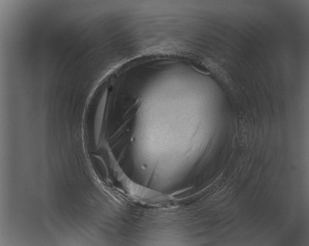 X0000067510680200604211751