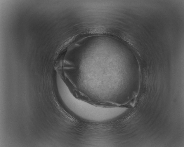 X0000067510681200604211751