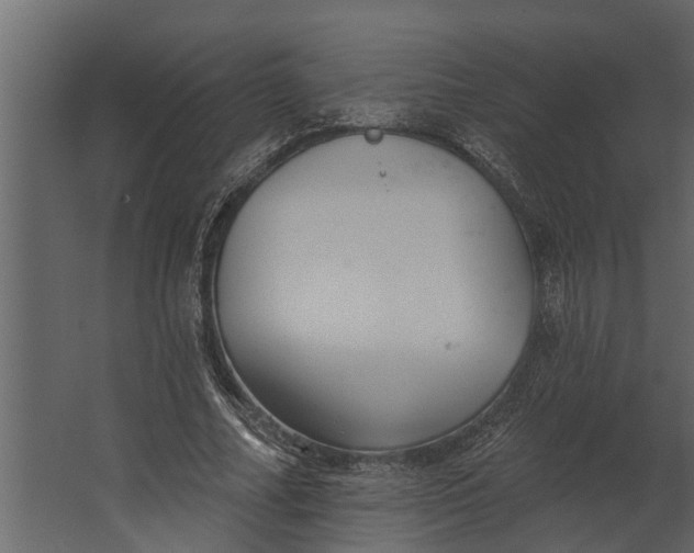 X0000067510682200604211751