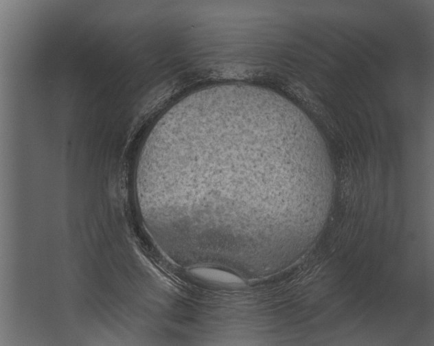 X0000067510683200604211751