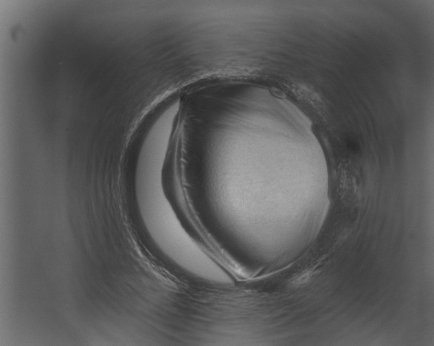 X0000067510684200604211751