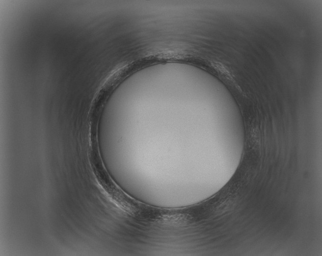 X0000067510686200604211751