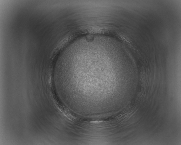 X0000067510687200604211751