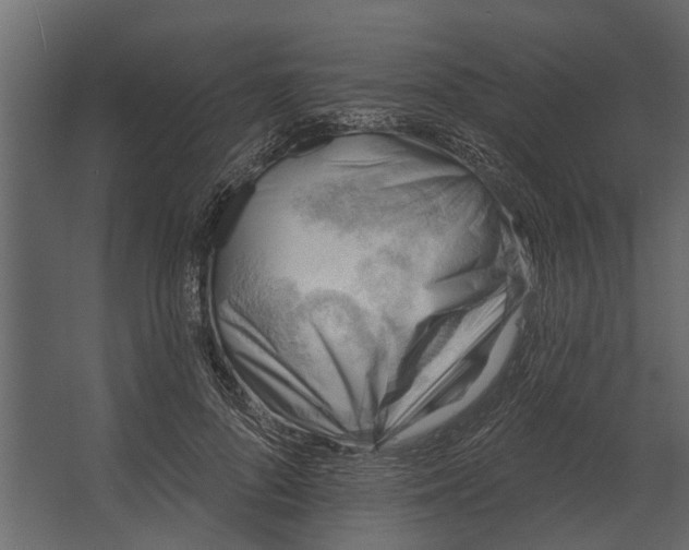 X0000067510696200604211751