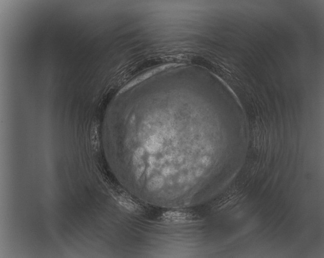 X0000067510699200604211751