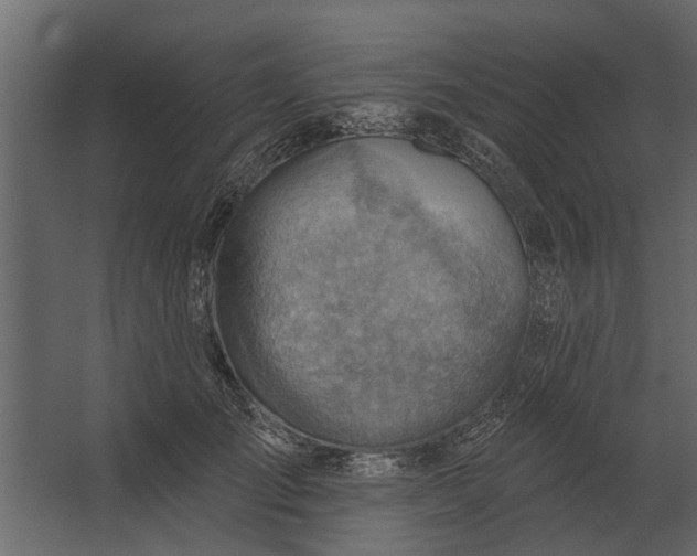 X0000067510701200604211751