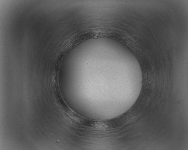 X0000067510702200604211751