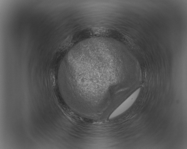 X0000067510703200604211751