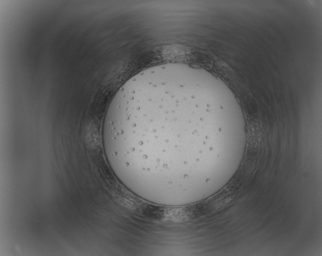 X0000067510705200604211751