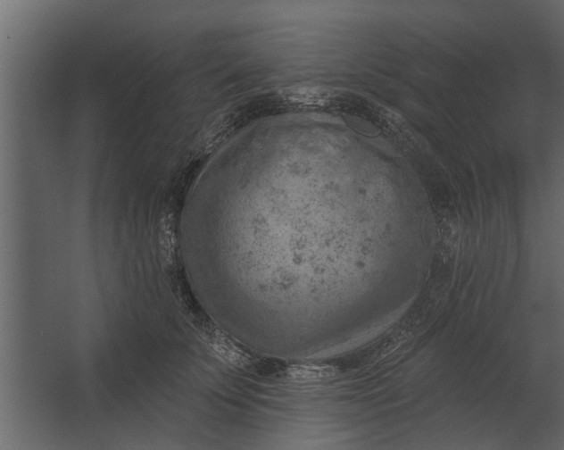 X0000067510707200604211751