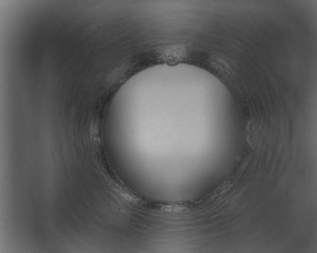 X0000067510714200604211751