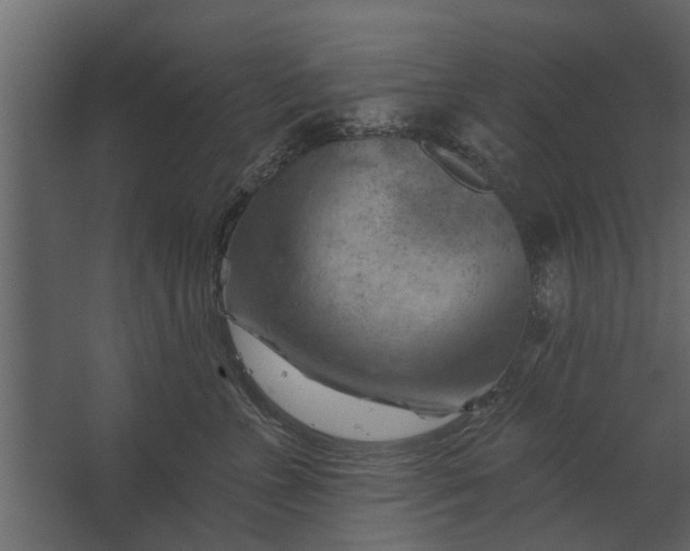 X0000067510715200604211751