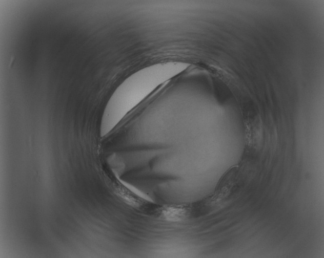 X0000067510718200604211751