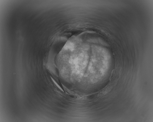 X0000067510720200604211751