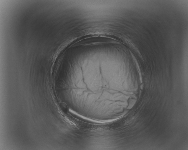 X0000067510721200604211750