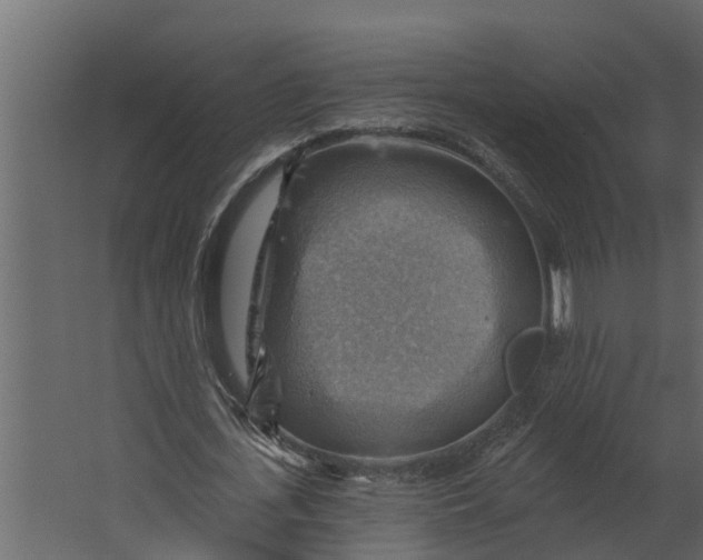 X0000067510723200604211750