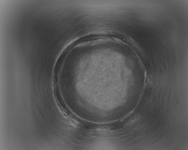 X0000067510724200604211750